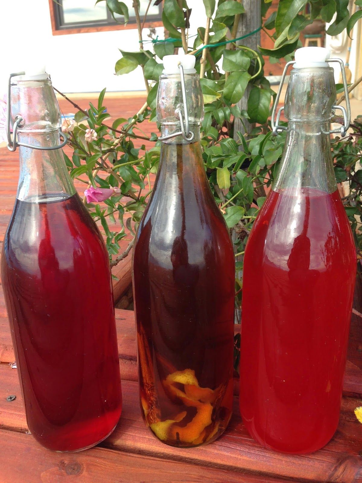 Guía de Vinos Caseros y Artesanales